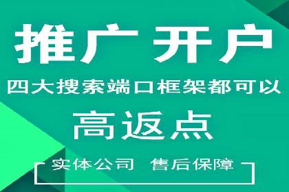 竞价推广代运营：成功案例解析